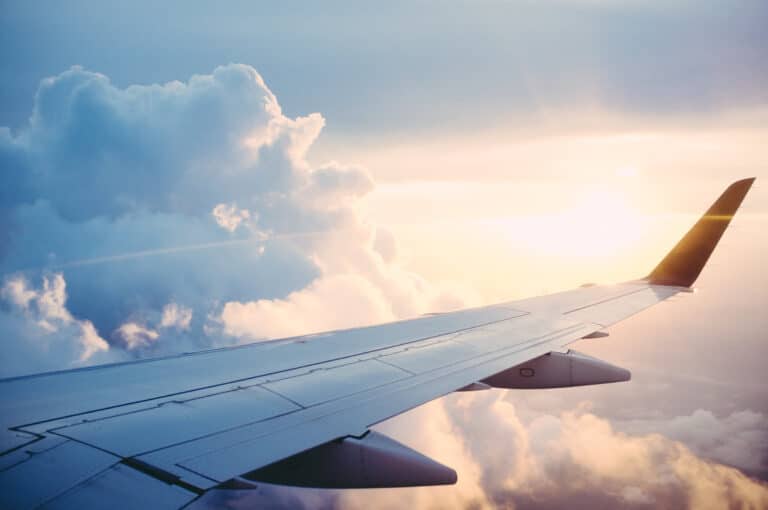 #flightfree